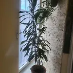 Apartamento Casa Hanna2 *