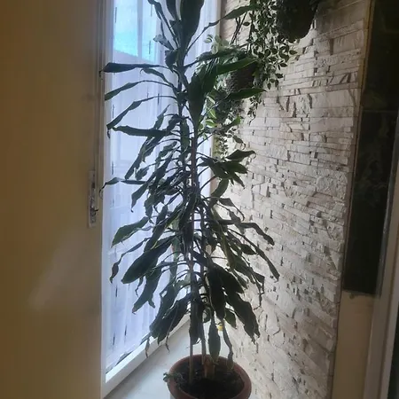 Appartamento Casa Hanna2 *