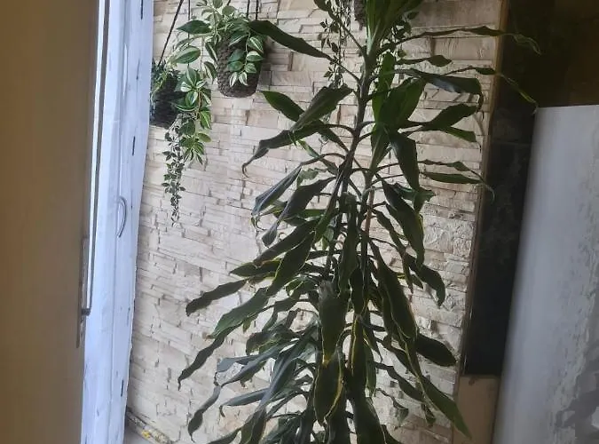 Casa Hanna2 아파트 인트라