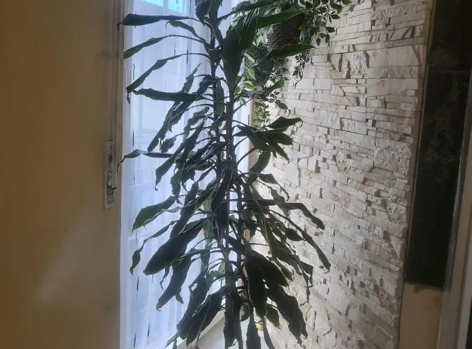 Apartment Casa Hanna2 *